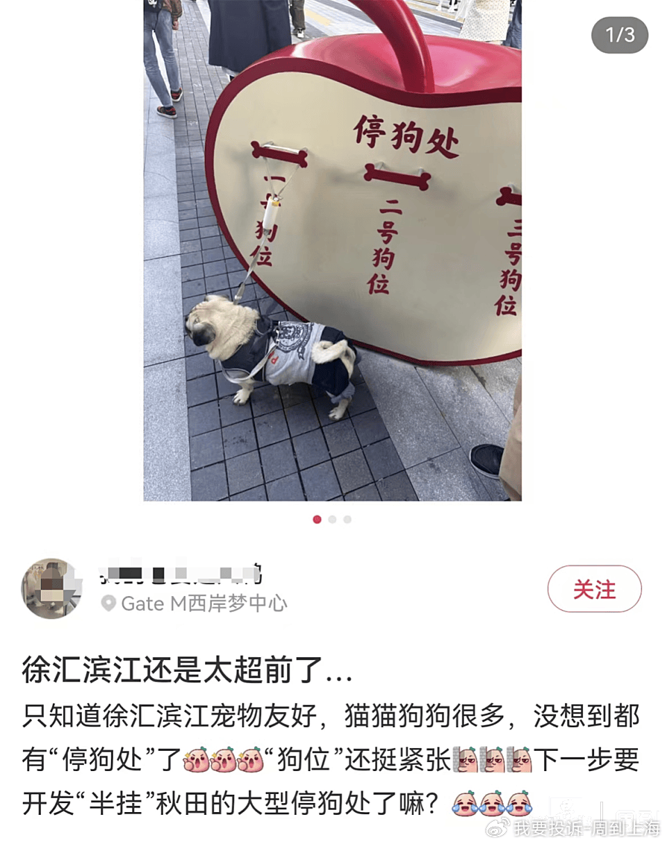 上海现“停狗处”太超前？记者实探：不止一处，有人点赞有人忧
