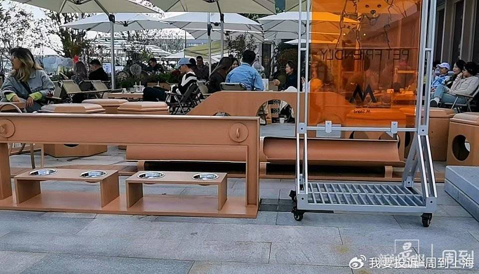 上海现“停狗处”太超前？记者实探：不止一处，有人点赞有人忧