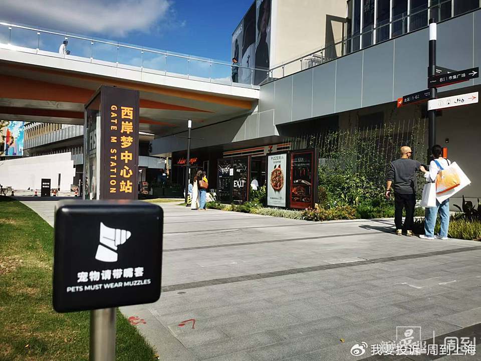 上海现“停狗处”太超前？记者实探：不止一处，有人点赞有人忧
