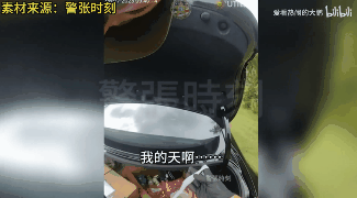 24岁中国女学生在美国电信诈骗数百万，被判35年！