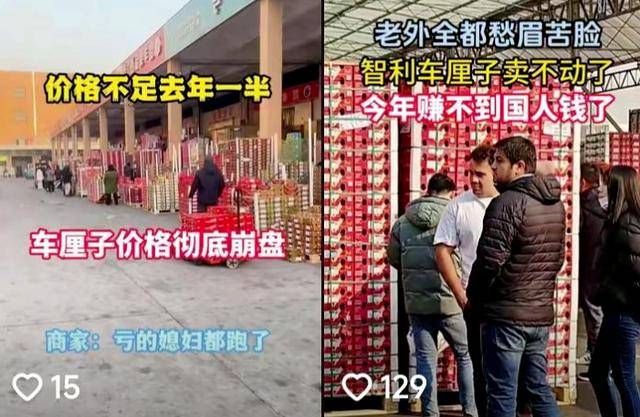 “车厘子崩盘”背后网络假象：部分电商年年卖惨销货，经销商称好货并不愁卖