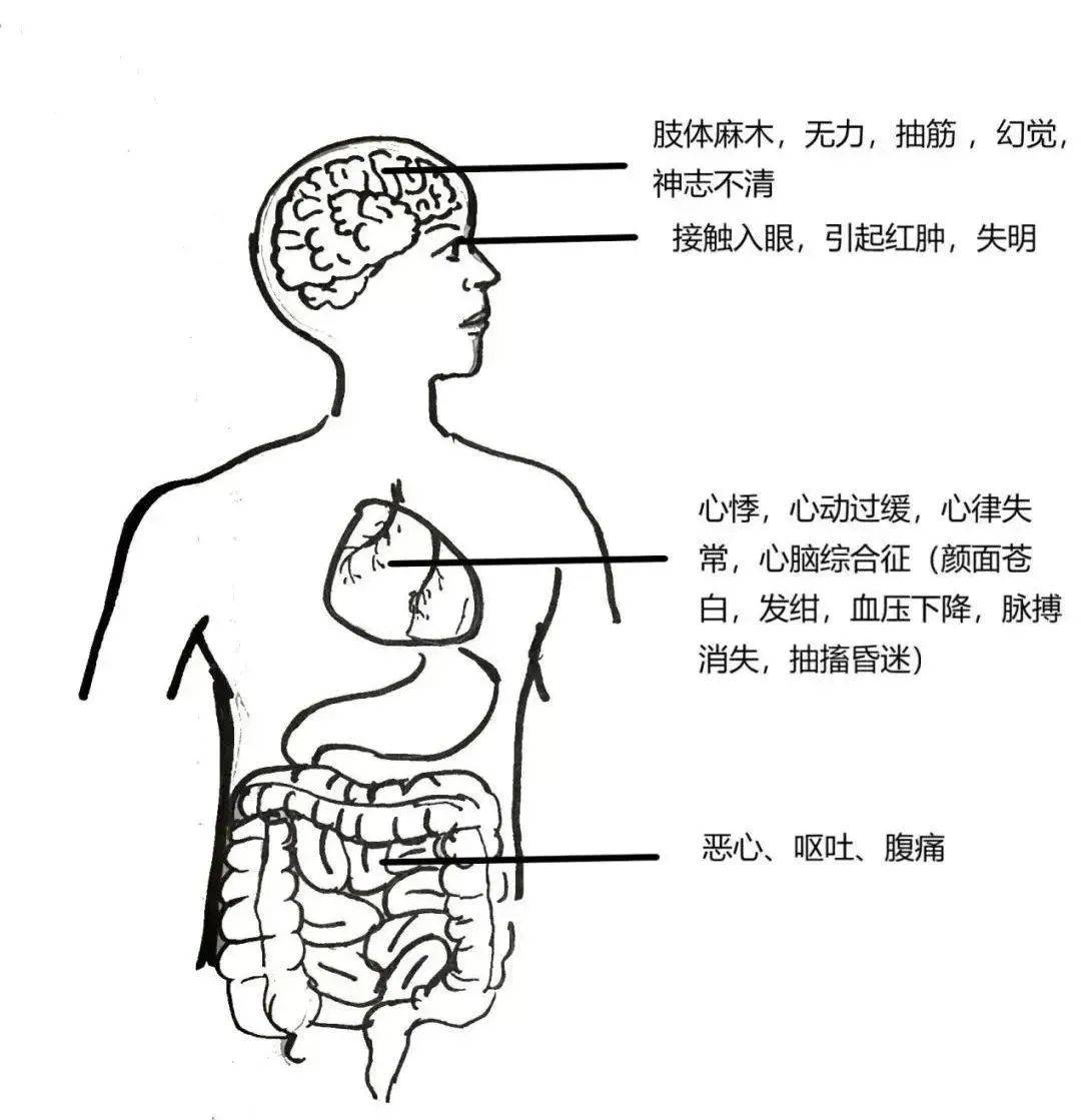 不要吃！含剧毒！无解药！已有人因此身亡…