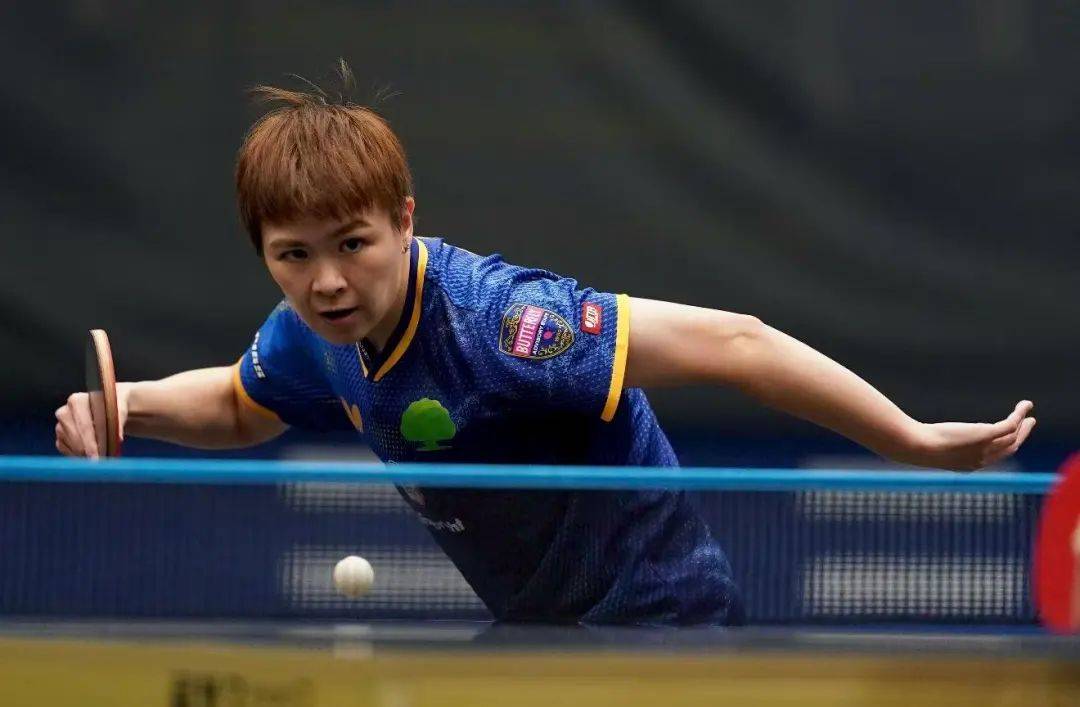 王曼昱零封万远,林诗栋首战告捷 | WTT欧洲大满贯瑞典站