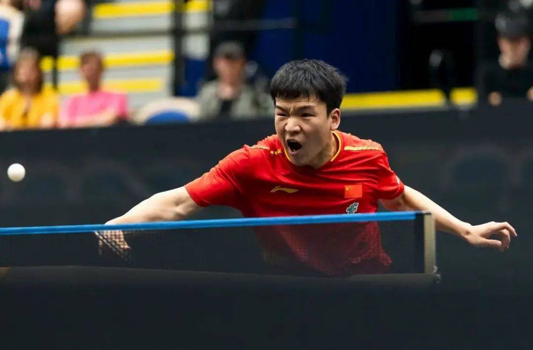 王曼昱零封万远,林诗栋首战告捷 | WTT欧洲大满贯瑞典站