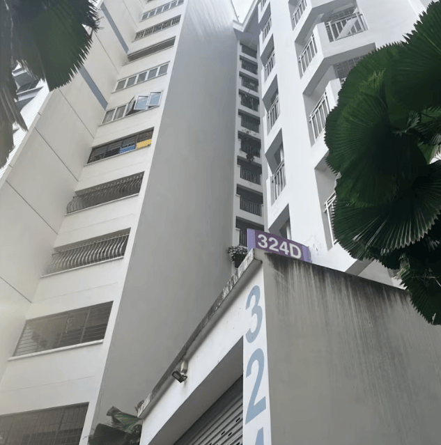 新加坡现双尸案:父亲成白骨,剑桥博士女儿疑饿死,一家来自东北