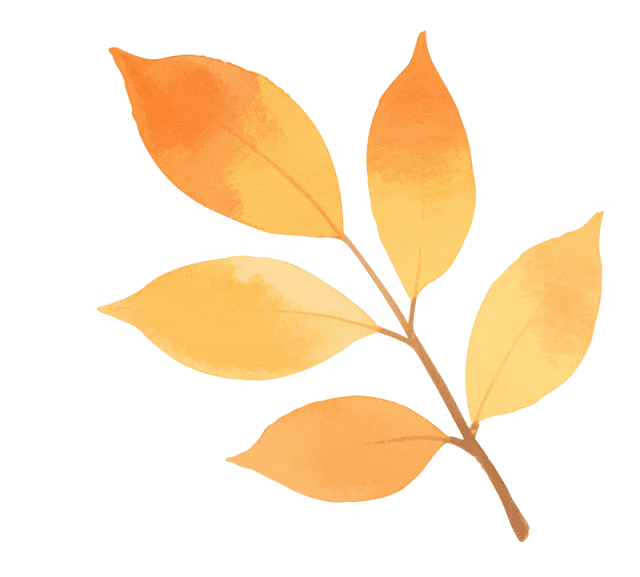 最高35℃!未来,厦门天气将持续……