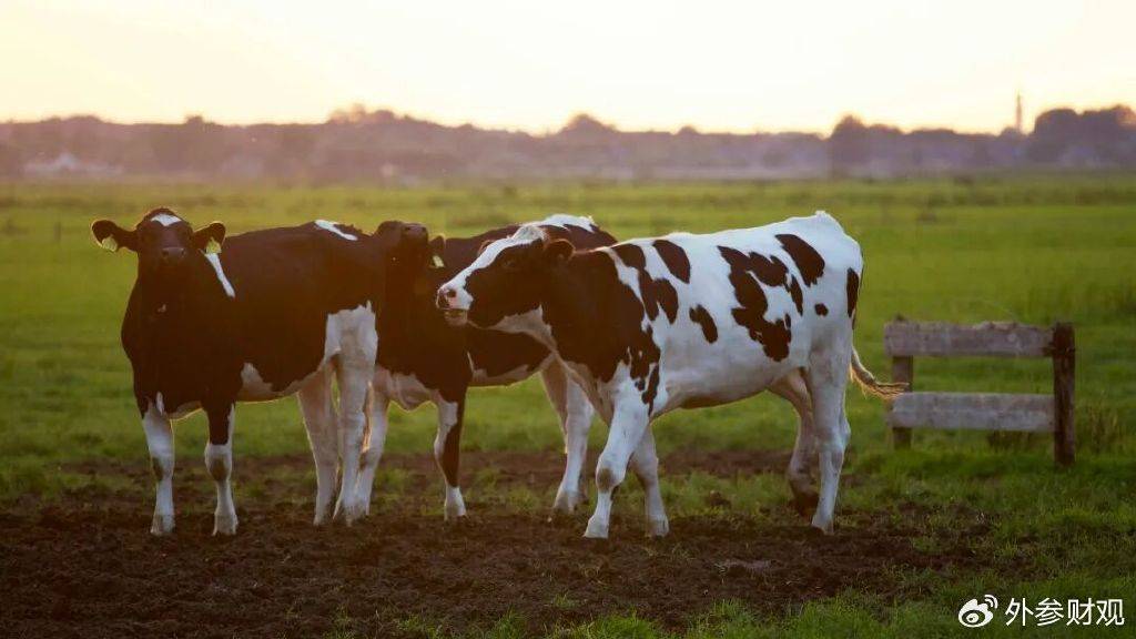 当液态奶触达天花板:伊利的下一个“金典”在哪里?