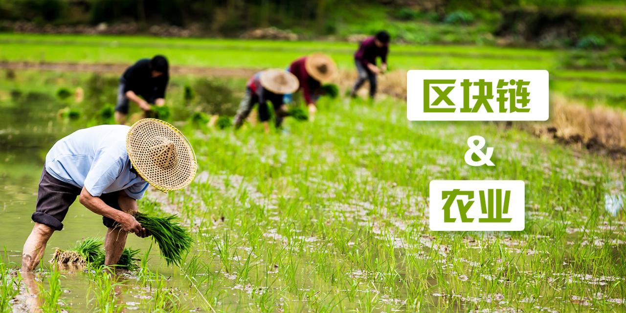 农业区块链(区块链在农业方面的应用)