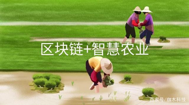农业区块链(农业区块链平台)