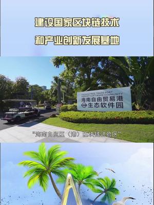 海南区块链(海南区块链协会)