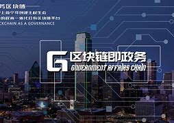 区块链政务(区块链政务领域有哪些优化)