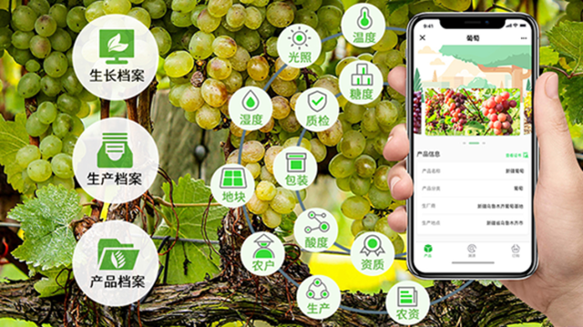 农业区块链(农业区块链应用)