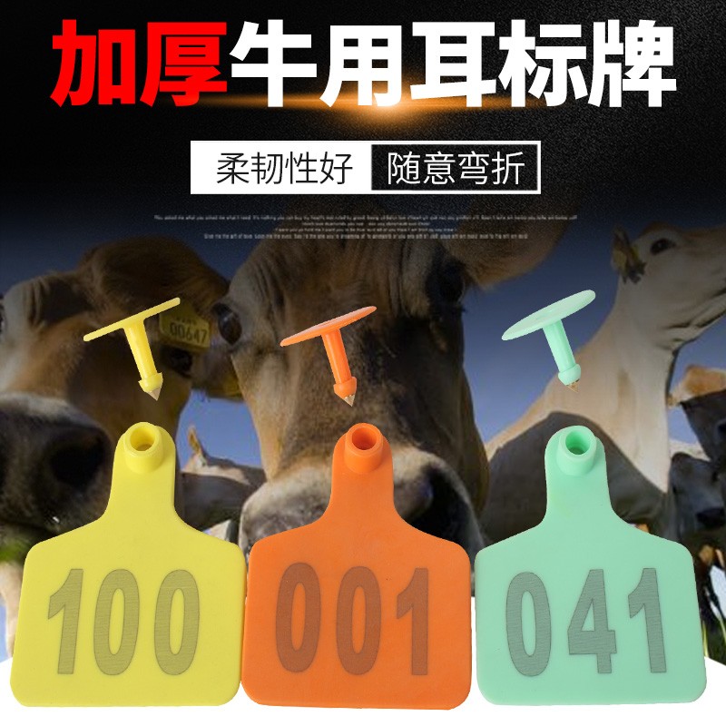 A牛(阿牛爱捕鱼)