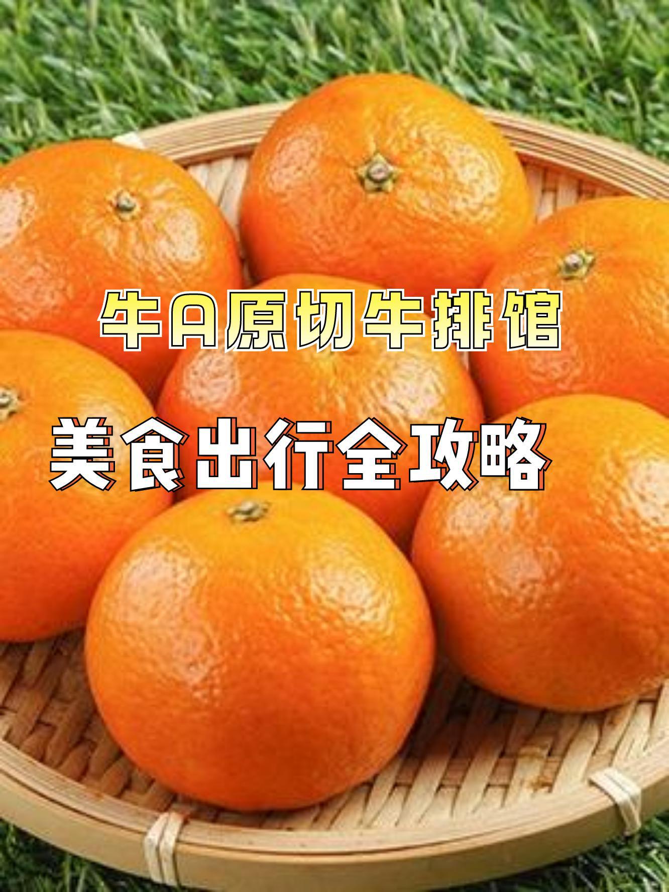 A牛(阿牛巴流量计)