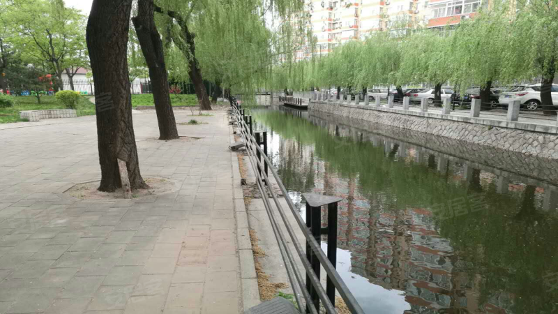 龙阁(494011青龙阁)