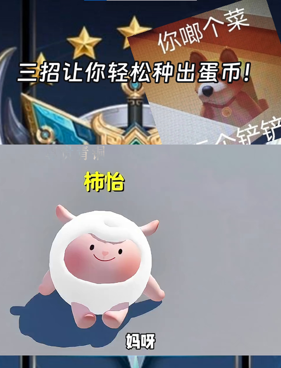 币蛋(币蛋Coinegg的最新版本下载)