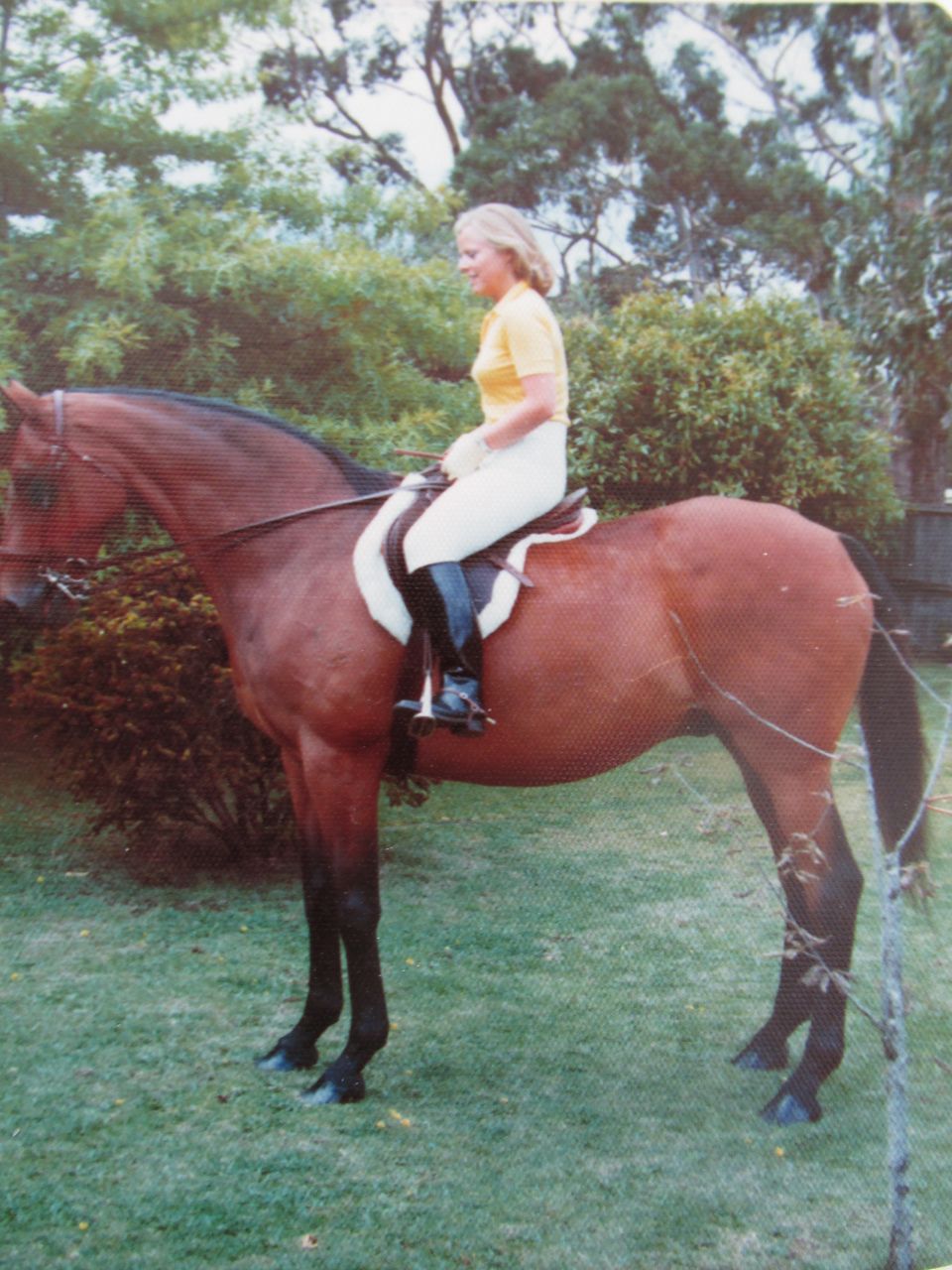 Nocks(Nockstein 奥地利) Nocks(Nockstein 奥地利)