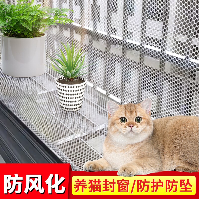 Z网(主我爱你歌谱)