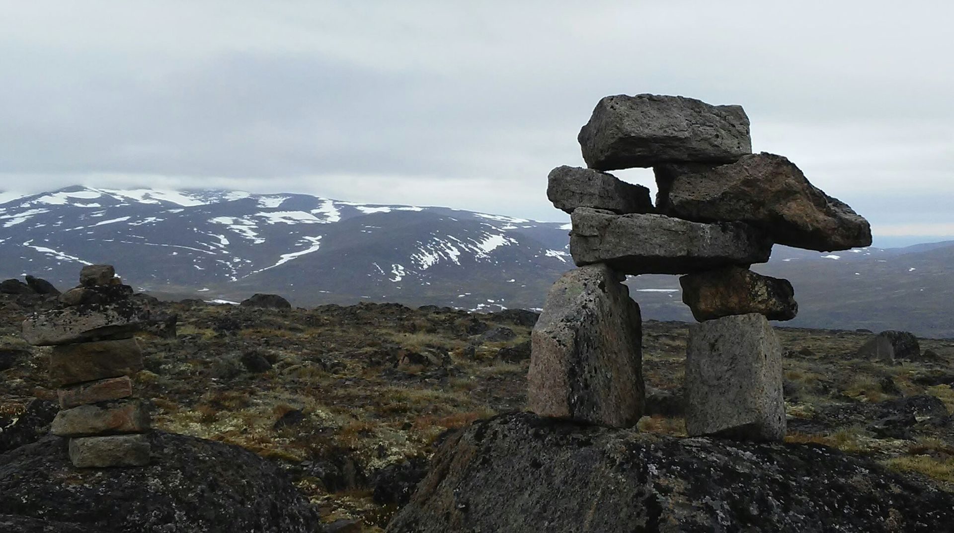 Nocks(nock是什么牌子的鞋子)