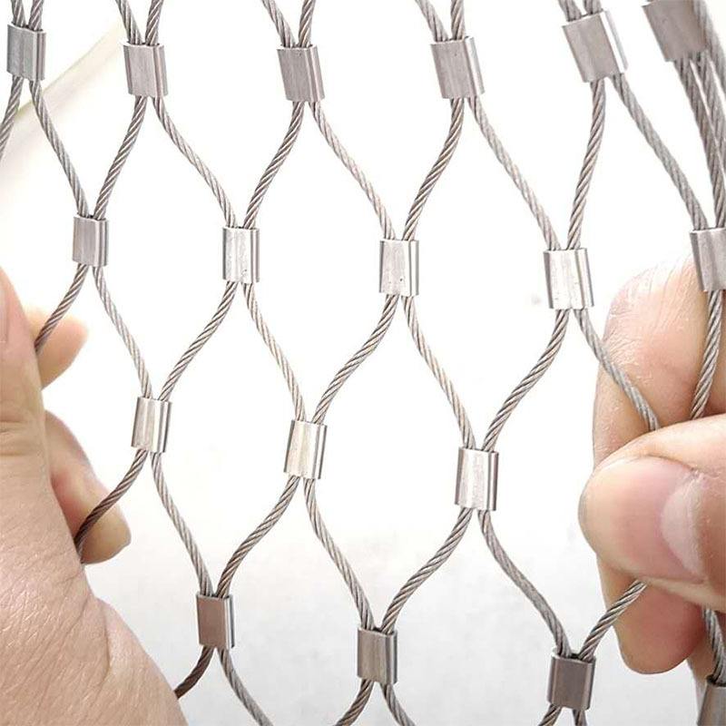 金网(金马网金马论坛)