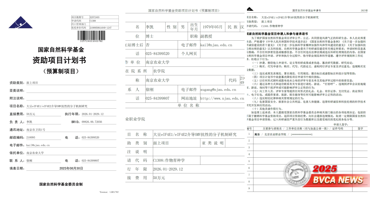 国家自然科学基金查询(国家自然科学基金查询结果) 国家自然科学基金查询(国家自然科学基金查询结果)