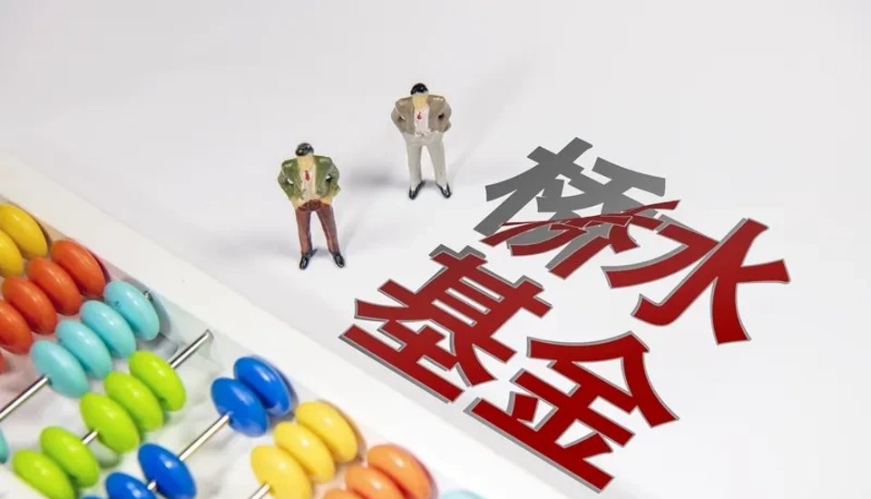 对冲基金是什么意思(对冲基金是什么意思举例说明)